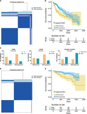 DNA Damage Repair Profiles Alteration Characterize a Hepatocellular Carcinoma Subtype With Unique Molecular and Clinicopathologic Features